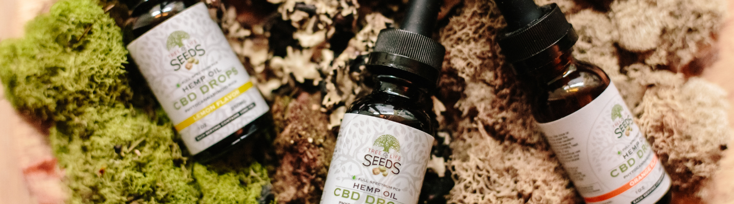 CBD トレンドウォッチ